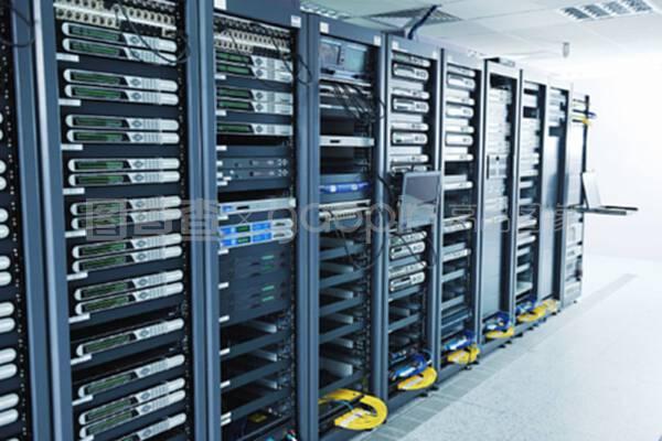 网络服务器室与数据库服务 数字化时代的核心基石